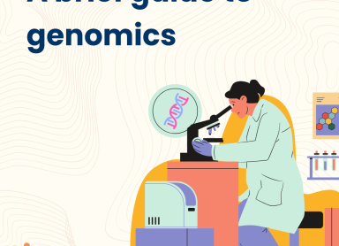 What is genomics? Cartoon of a doctor looking down a microscope at DNA with the title "A Brief Guide to Genomics" and the GENA logo in the corner.